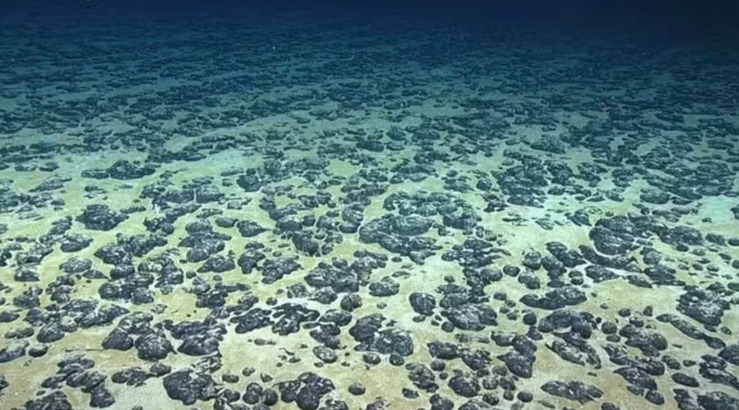 Cientistas descobrem 'oxigênio negro' em águas profundas do oceano Pacífico