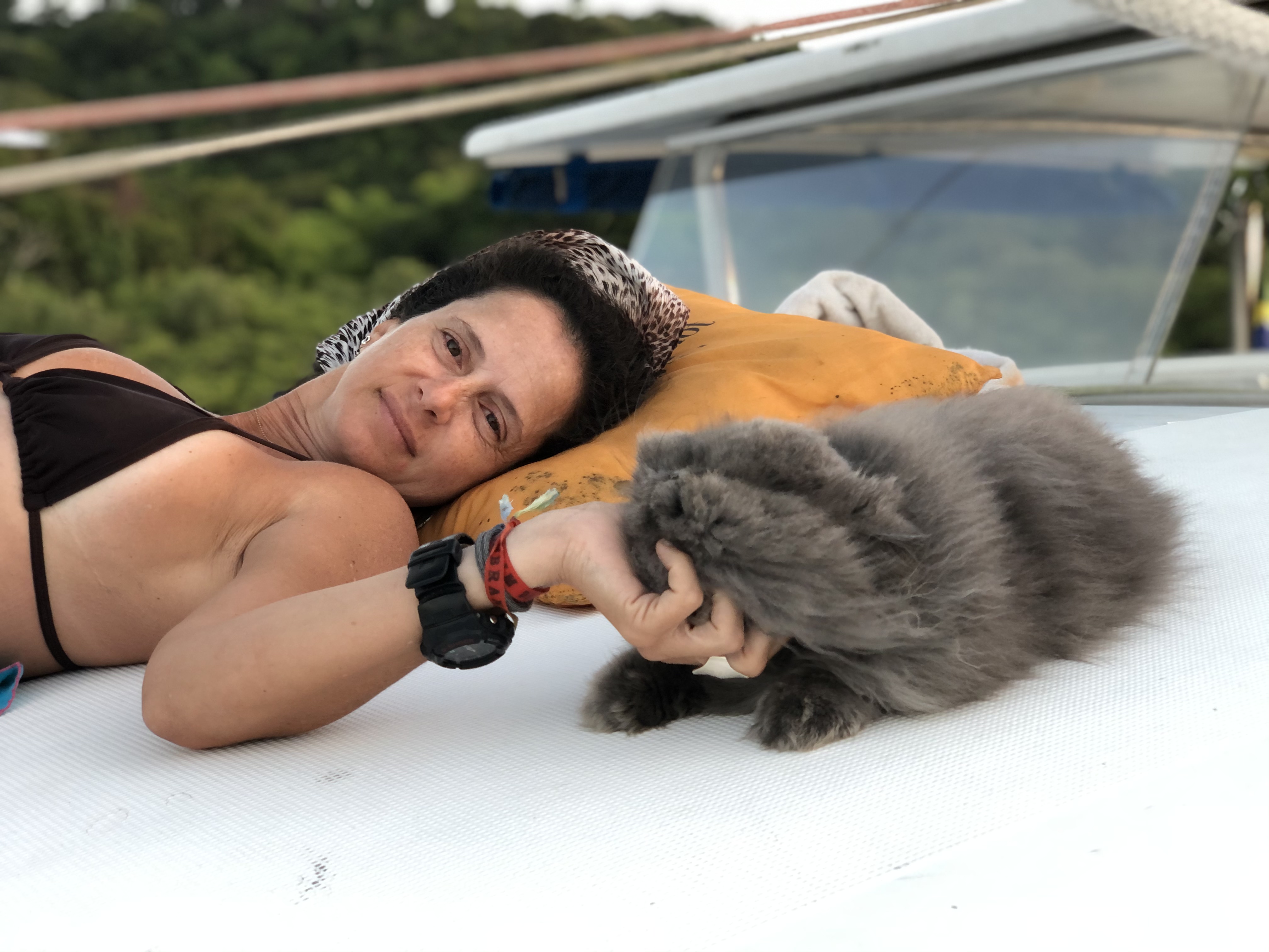 Casal vive com seus gatos em veleiro-catamarã