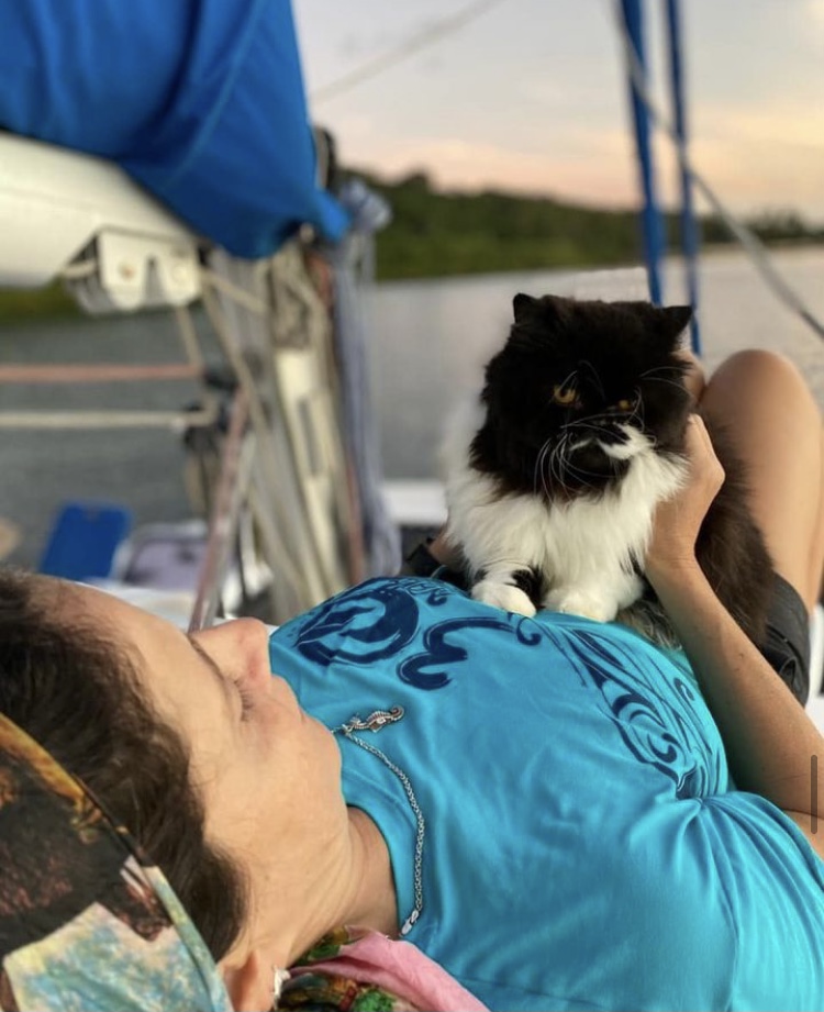 Casal vive com seus gatos em veleiro-catamarã