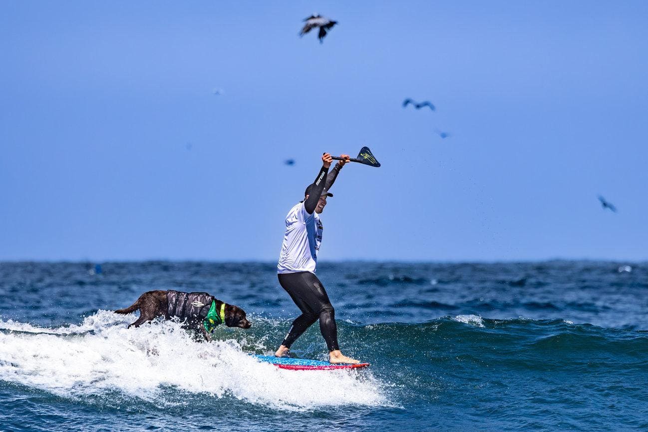 Cacau e Família Surf Dog se preparam para defender o título mundial na Califórnia