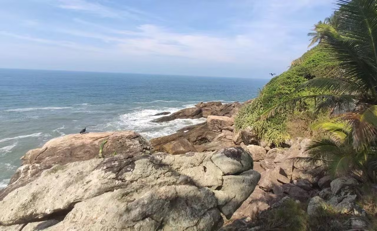 Ilha no litoral paulista está à venda por R$ 4 milhões: saiba mais sobre o processo